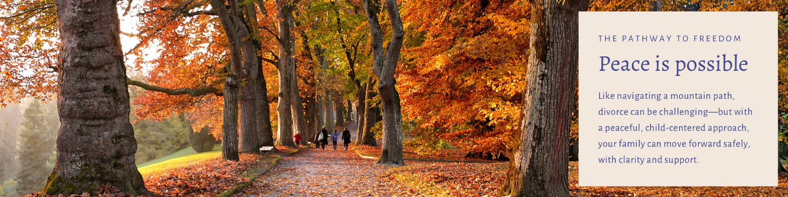 Family Focused Pathway to Freedom