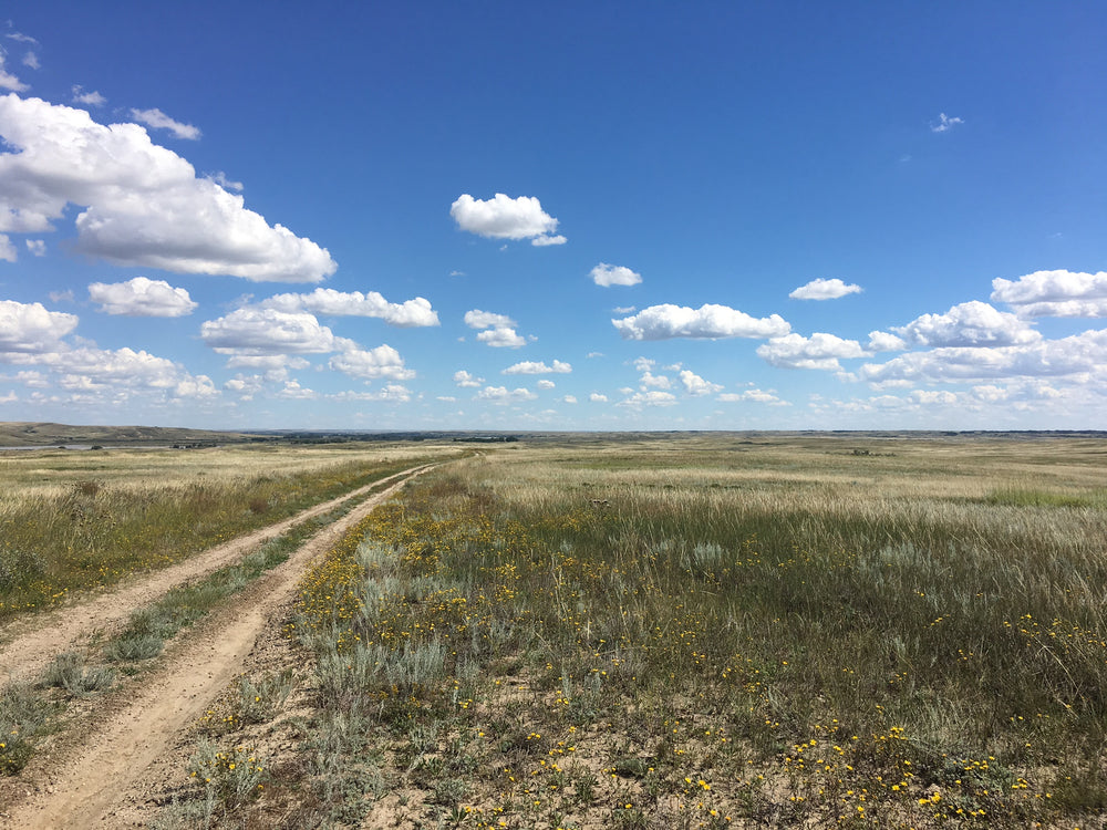 Protecting Children During Divorce